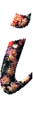 Alfabetten Bloemen 31 