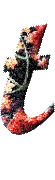 Alfabetten Bloemen 31 