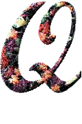 Alfabetten Bloemen 31 Letter Q