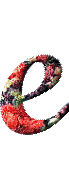 Alfabetten Bloemen 31 