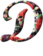 Alfabetten Bloemen 31 