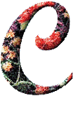 Alfabetten Bloemen 31 