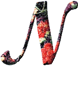 Alfabetten Bloemen 31 