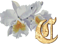 Alfabetten Bloemen 38 