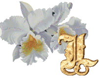 Alfabetten Bloemen 38 