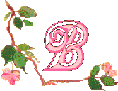 Alfabetten Bloemen 40 