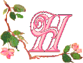 Alfabetten Bloemen 40 