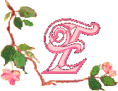 Alfabetten Bloemen 40 
