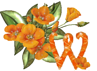 Alfabetten Bloemen 41 