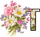 Bloemen Alfabetten 