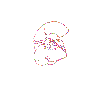 Alfabetten Diddl 8 