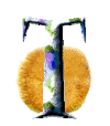 Alfabetten Egel Letter T