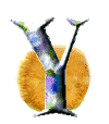 Alfabetten Egel Letter Y