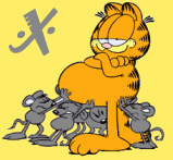 Alfabetten Garfield 8 