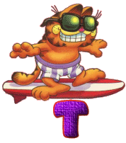 Alfabetten Garfield surf 