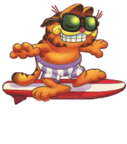 Alfabetten Garfield surf 