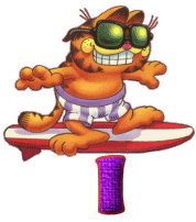 Alfabetten Garfield surf 