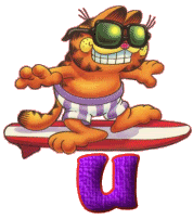 Alfabetten Garfield surf 