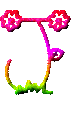 Alfabetten Kleuren 4 