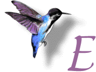 Alfabetten Kolibri Letter E