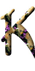 Alfabetten Konijntjes met bloemen 