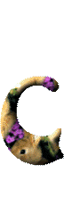 Alfabetten Konijntjes met bloemen 