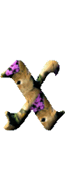Alfabetten Konijntjes met bloemen 