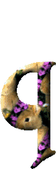 Alfabetten Konijntjes met bloemen 