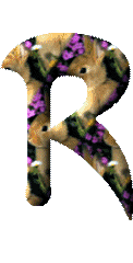 Alfabetten Konijntjes met bloemen 