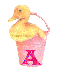 Alfabetten Kuiken in emmer 