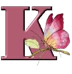 Alfabetten Libelle transparant Letter K
