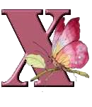 Alfabetten Libelle transparant Letter X