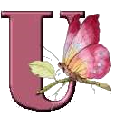 Alfabetten Libelle transparant Letter U