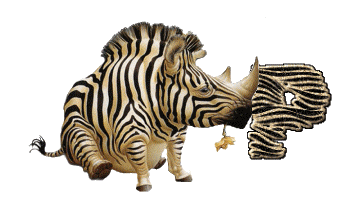 Alfabetten Neushoorn 