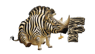 Alfabetten Neushoorn 
