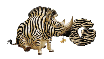 Alfabetten Neushoorn 