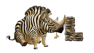 Alfabetten Neushoorn 