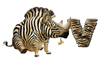 Alfabetten Neushoorn 