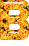 Alfabetten Oranje 6 