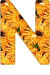 Alfabetten Oranje 6 