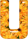 Alfabetten Oranje 6 Letter U