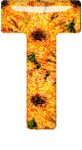 Alfabetten Oranje 6 