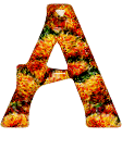 Alfabetten Oranje 