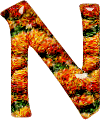 Alfabetten Oranje 