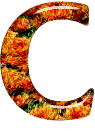 Alfabetten Oranje 