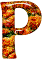 Alfabetten Oranje 