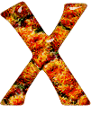 Alfabetten Oranje 