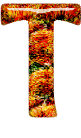 Alfabetten Oranje 