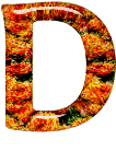 Alfabetten Oranje 