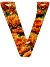 Alfabetten Oranje Letter V